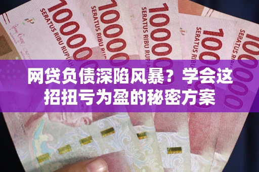 济南网贷负债深陷风暴？学会这招扭亏为盈的秘密方案